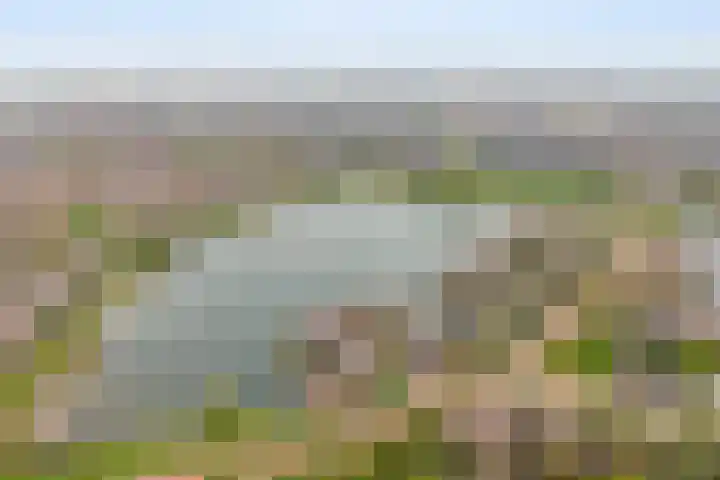 Rendiermos 6 Houten thumbnail 46