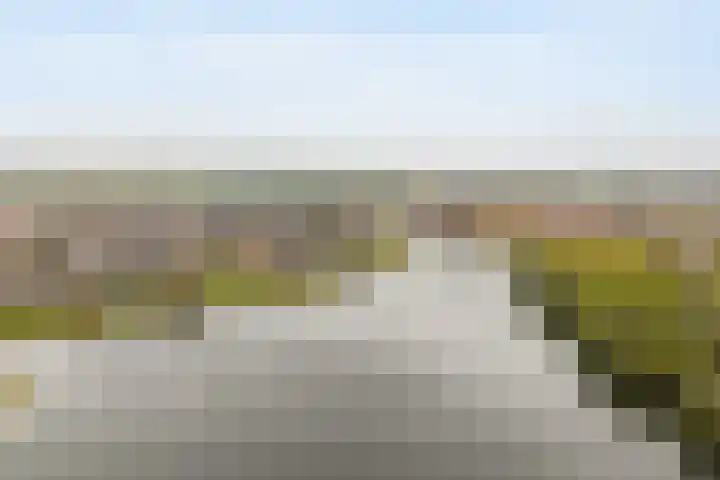 Rendiermos 6 Houten thumbnail 47
