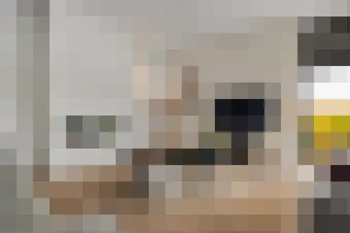 Rendiermos 6 Houten thumbnail 8