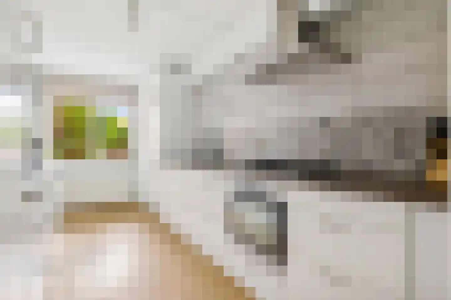 Rendierstraat 10 Utrecht thumbnail 14