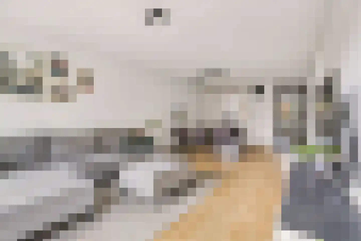 Rendierstraat 10 Utrecht thumbnail 9