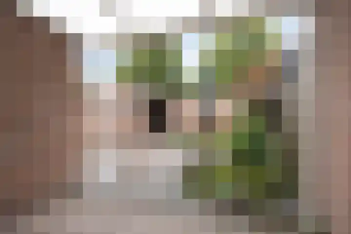 Rendierstraat 16 Volkel thumbnail 19