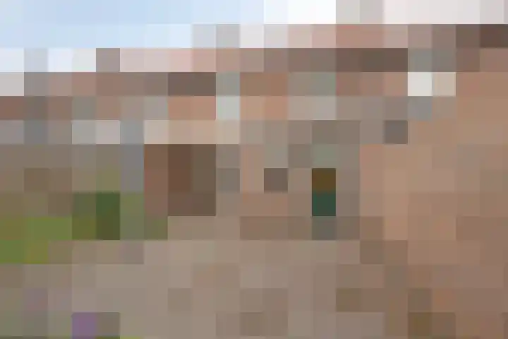 Rendierstraat 16 Volkel thumbnail 20