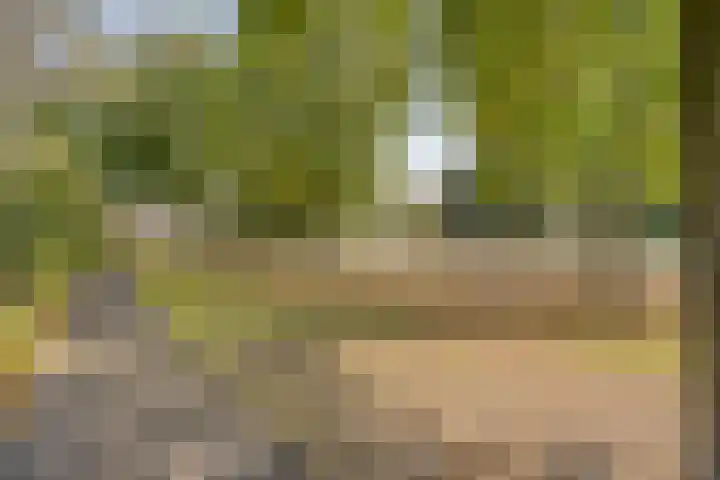 Rendierstraat 16 Volkel thumbnail 23