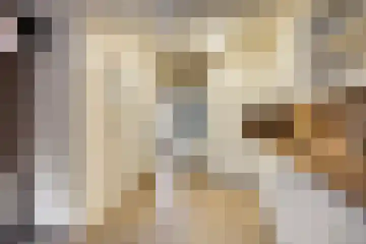 Rendierstraat 16 Volkel thumbnail 5