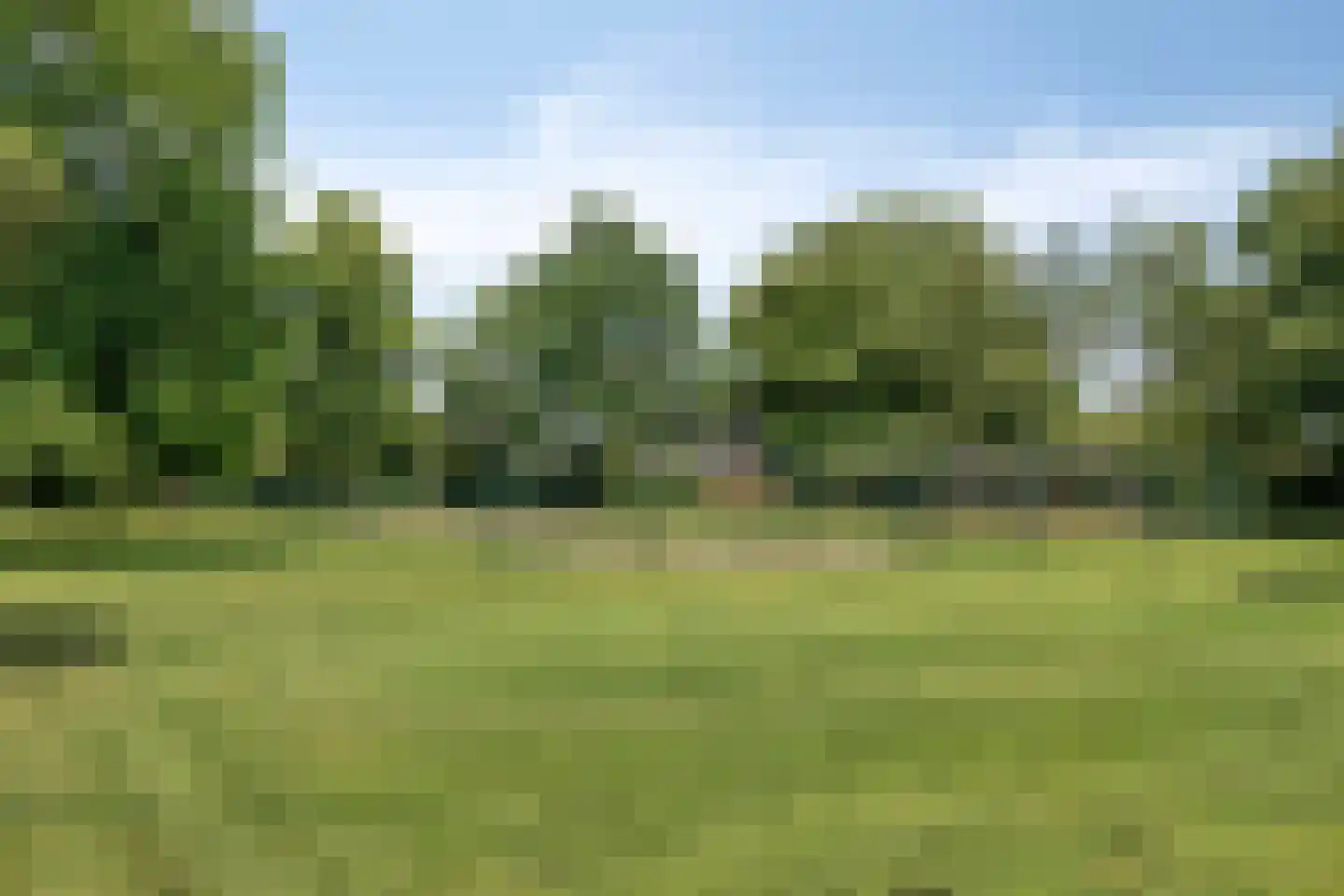 Rendierstraat 35 Volkel thumbnail 21