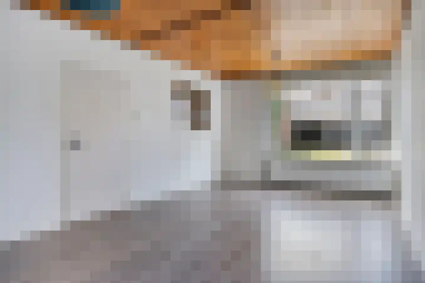 Rendierstraat 35 Volkel thumbnail 6