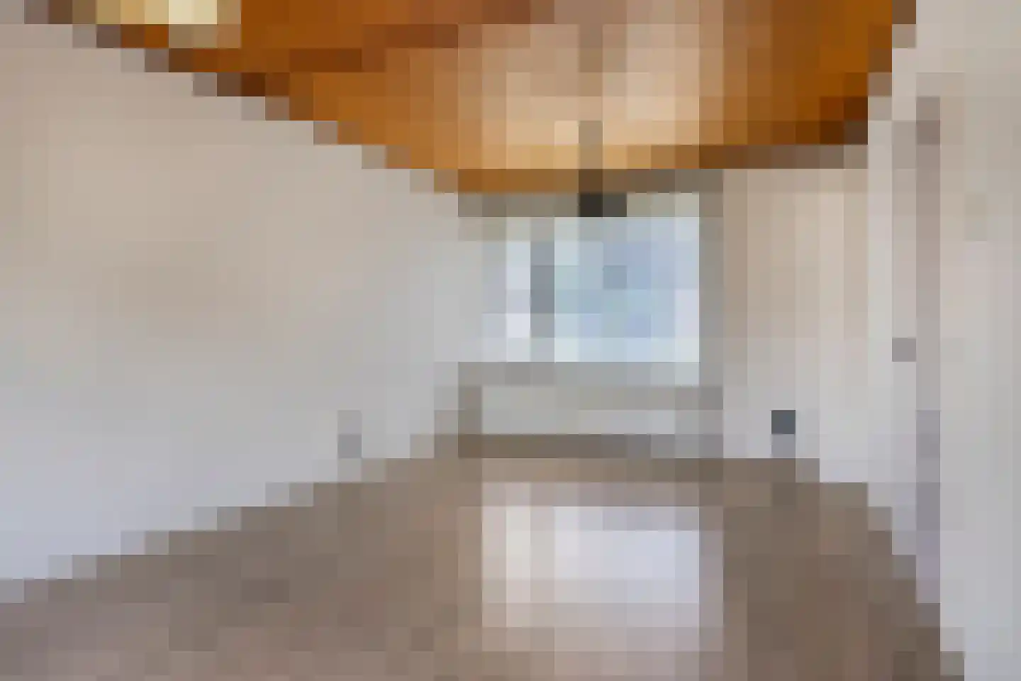 Rendierstraat 35 Volkel thumbnail 7