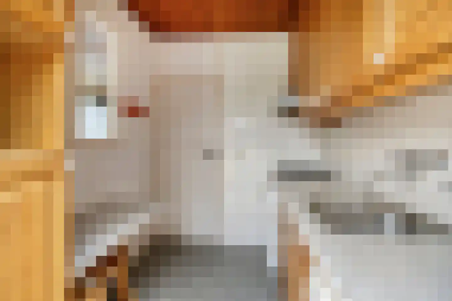 Rendierstraat 35 Volkel thumbnail 9