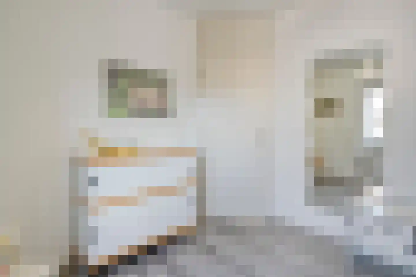 Rendierveld 8 Zwolle thumbnail 33