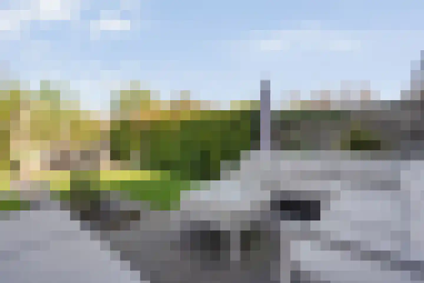 Rendierveld 8 Zwolle thumbnail 39
