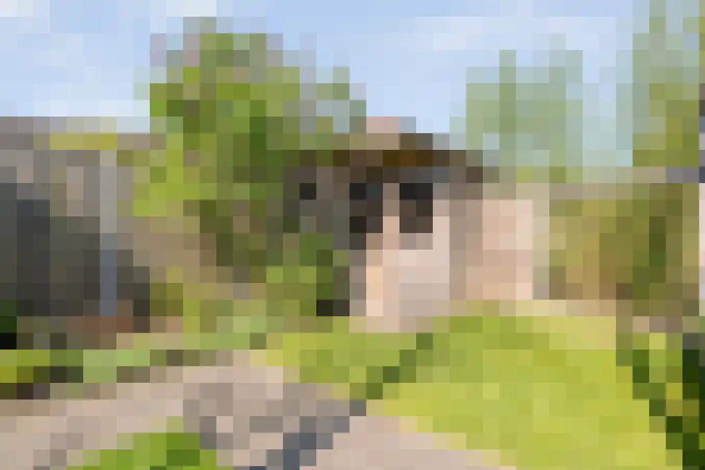Rendierveld 8 Zwolle thumbnail 41