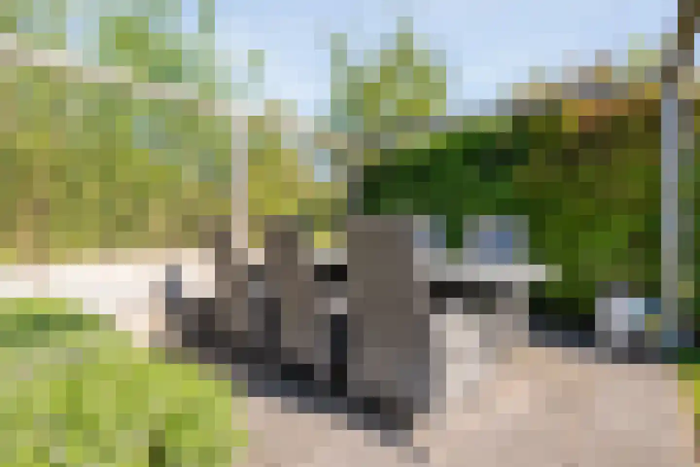 Rendierveld 8 Zwolle thumbnail 42