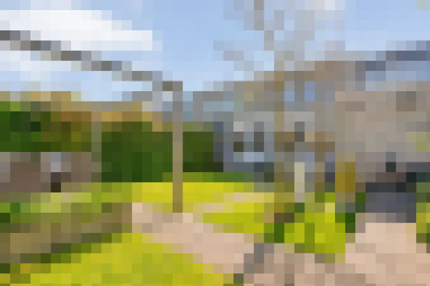 Rendierveld 8 Zwolle thumbnail 43