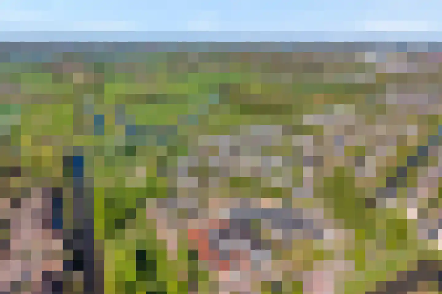 Rendierveld 8 Zwolle thumbnail 53