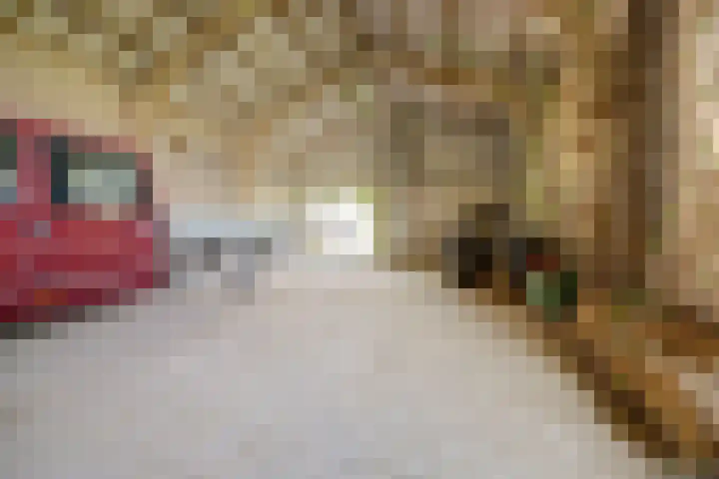 Rendierweg 27 Dronten thumbnail 20