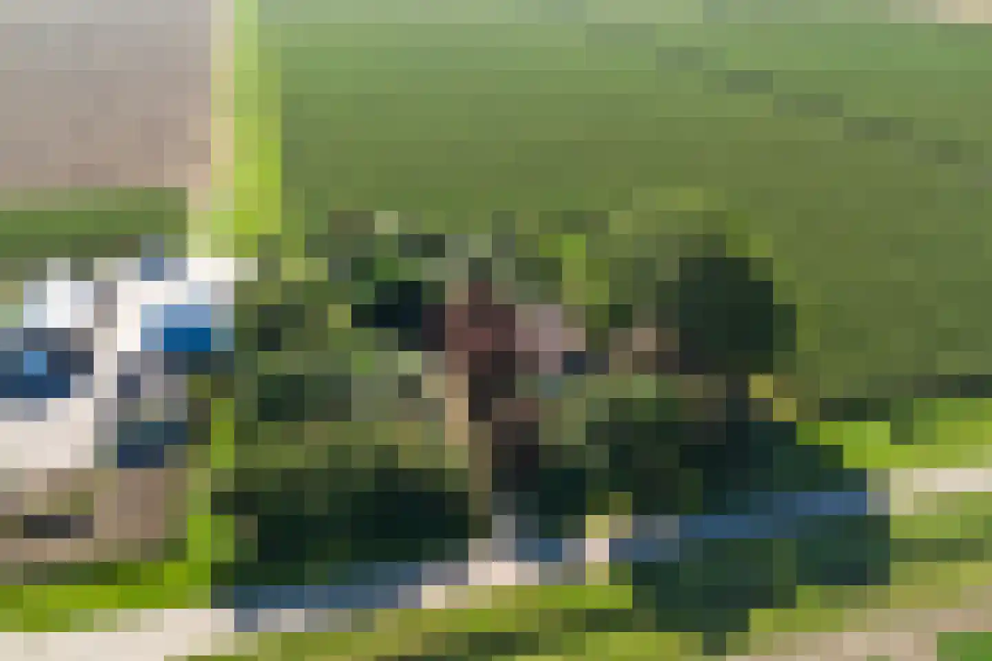 Rendierweg 27 Dronten thumbnail 28