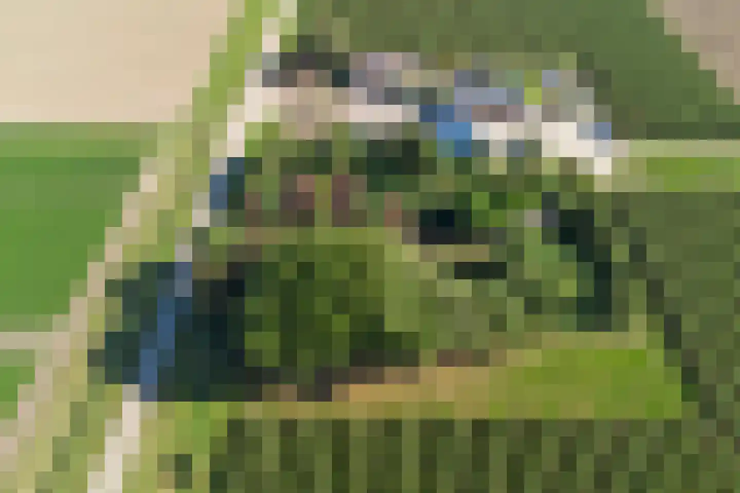 Rendierweg 27 Dronten thumbnail 30