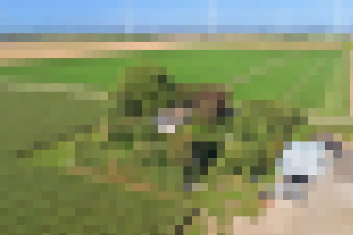 Rendierweg 27 Dronten thumbnail 32