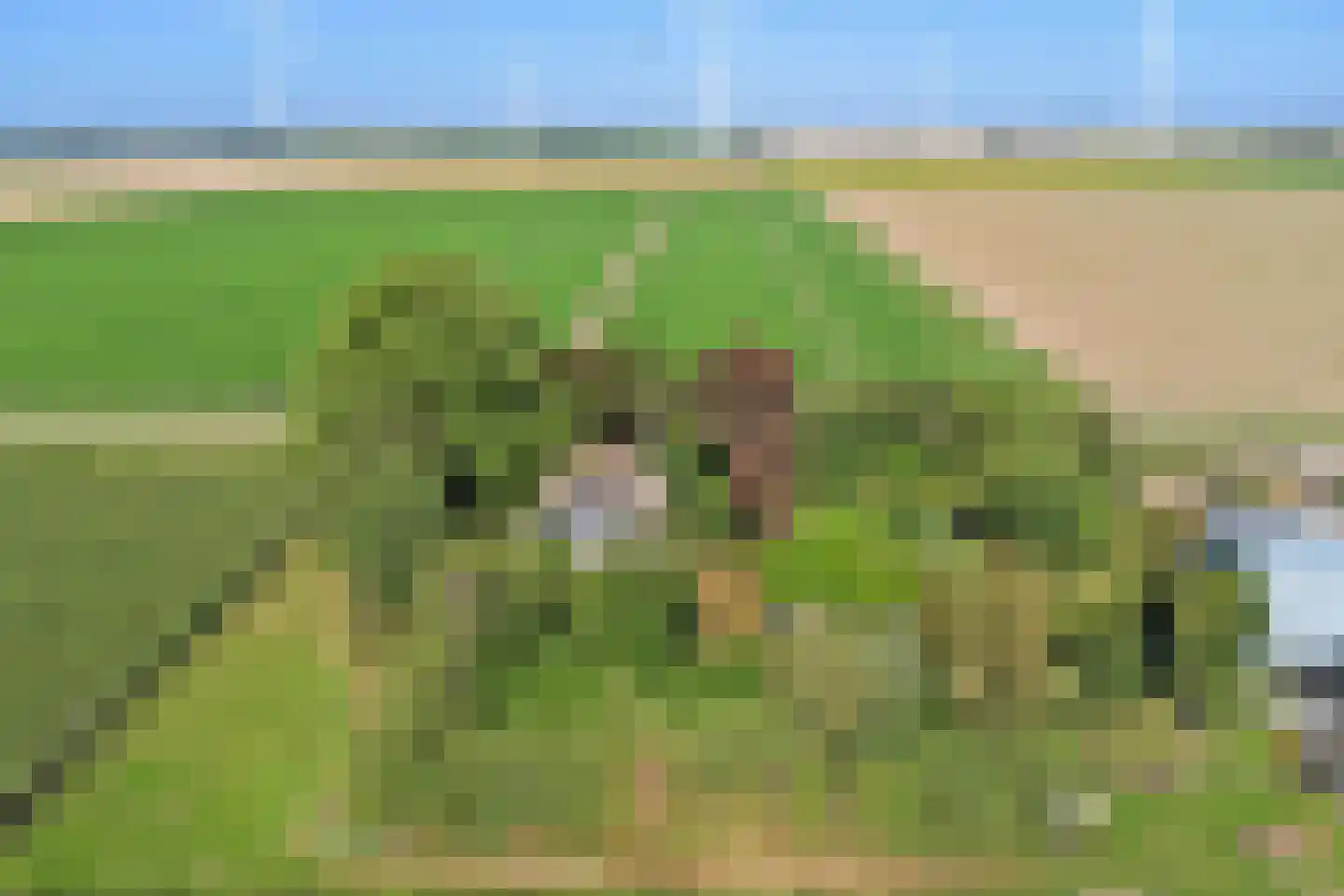Rendierweg 27 Dronten thumbnail 33