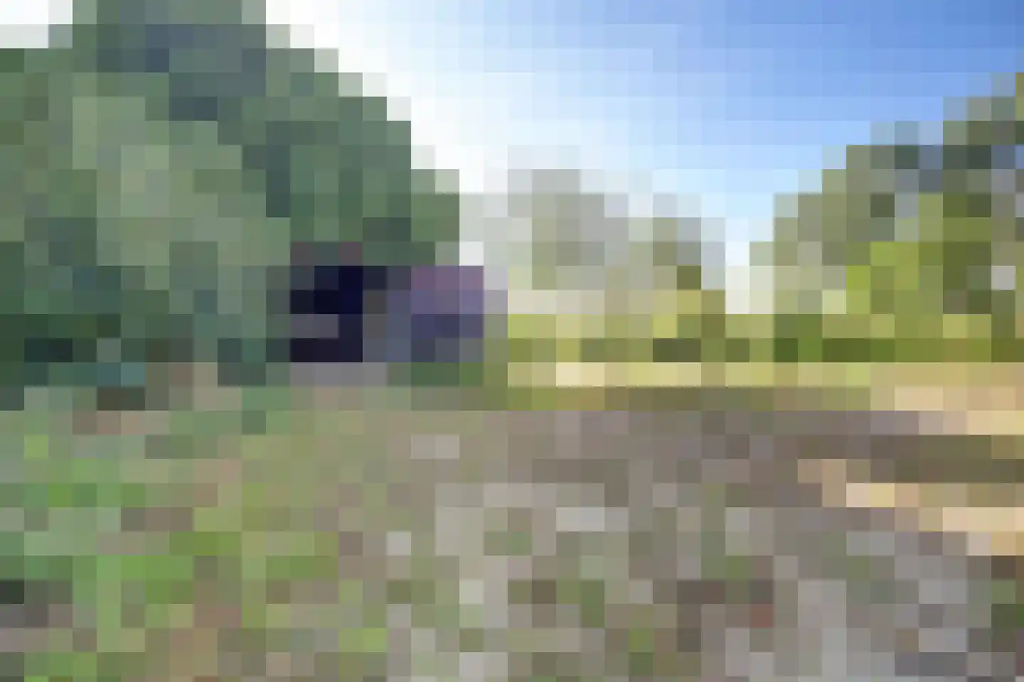 Rendierweg 27 Dronten thumbnail 8