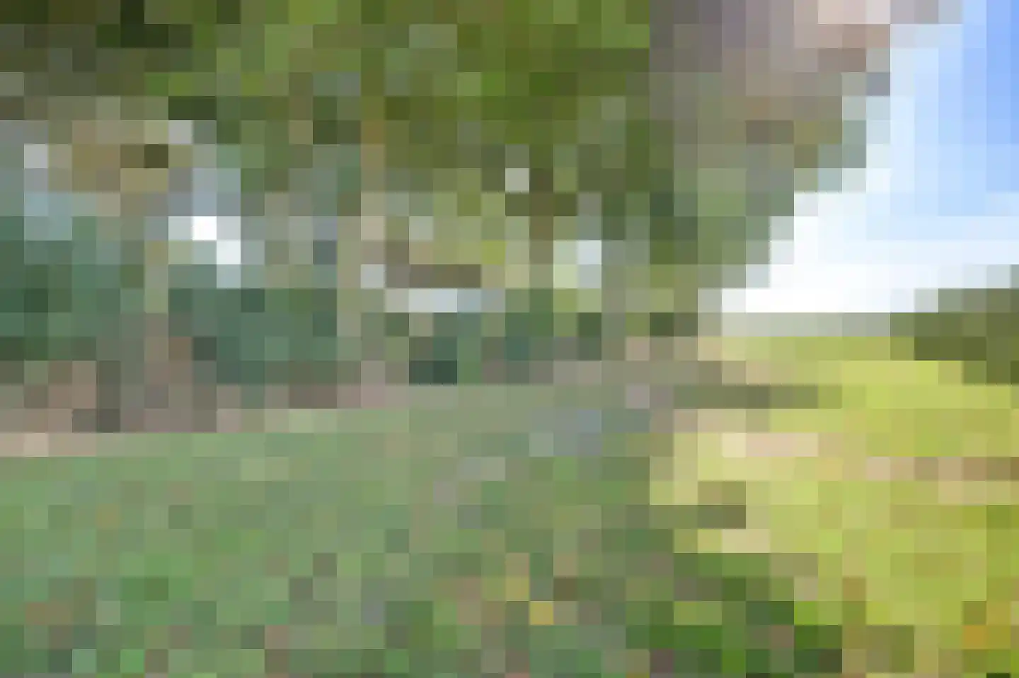 Rendierweg 27 Dronten thumbnail 9