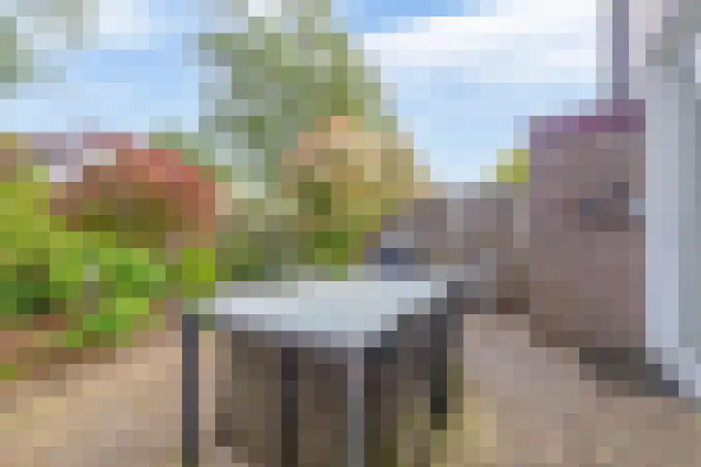 Rendierweide 48 Nieuwegein thumbnail 21