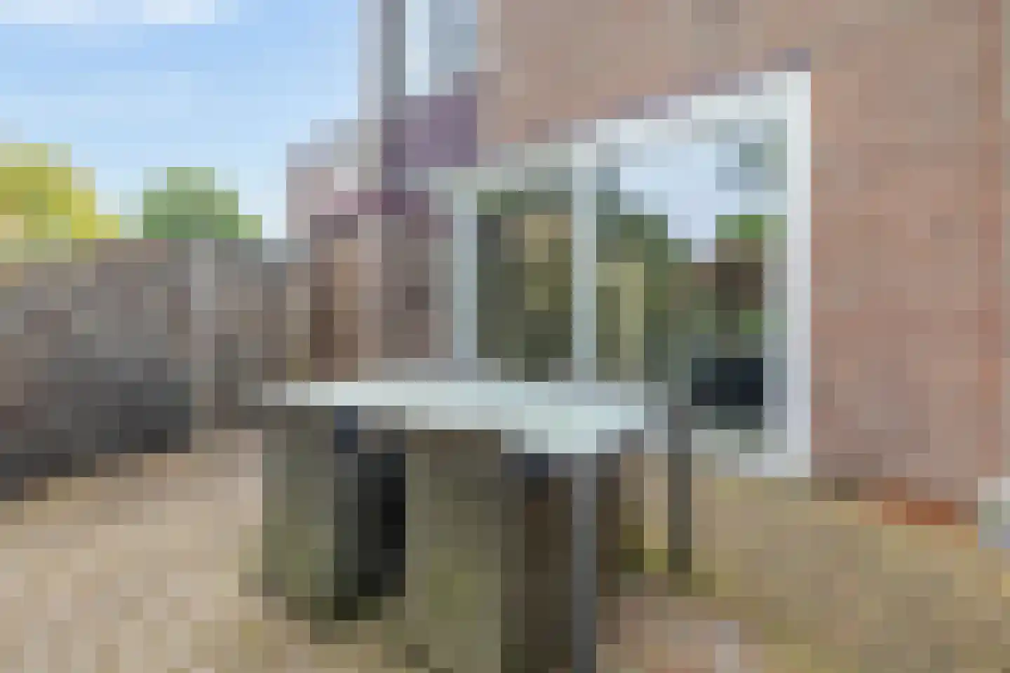 Rendierweide 48 Nieuwegein thumbnail 25