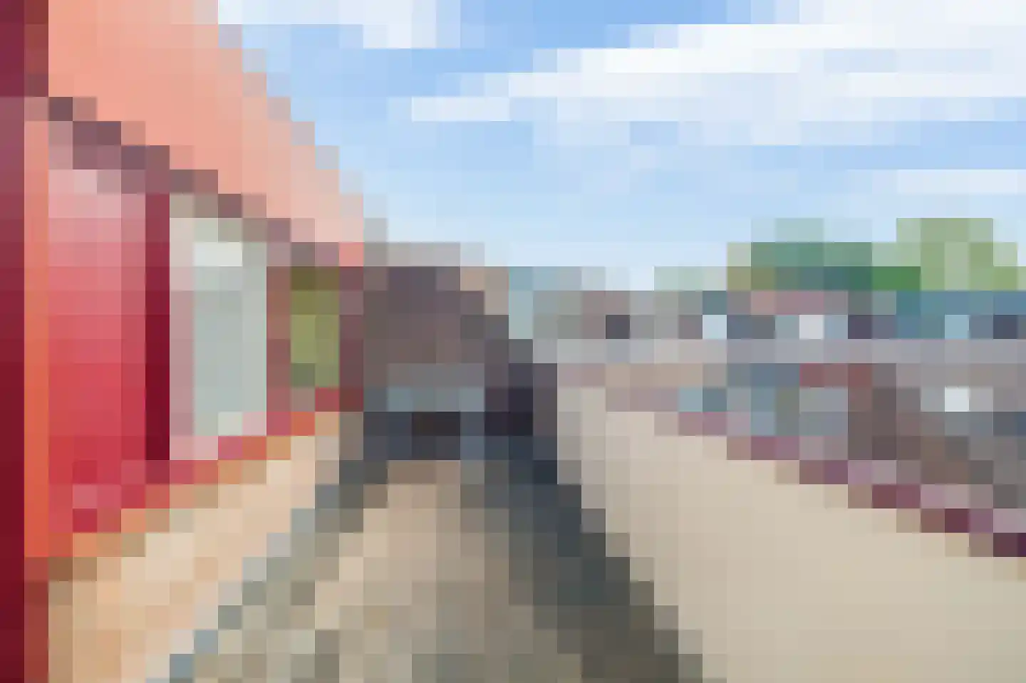 Rendierweide 48 Nieuwegein thumbnail 40