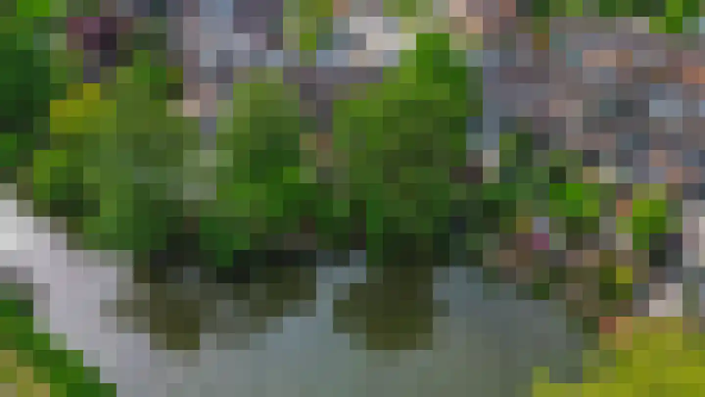 Rendierweide 48 Nieuwegein thumbnail 61