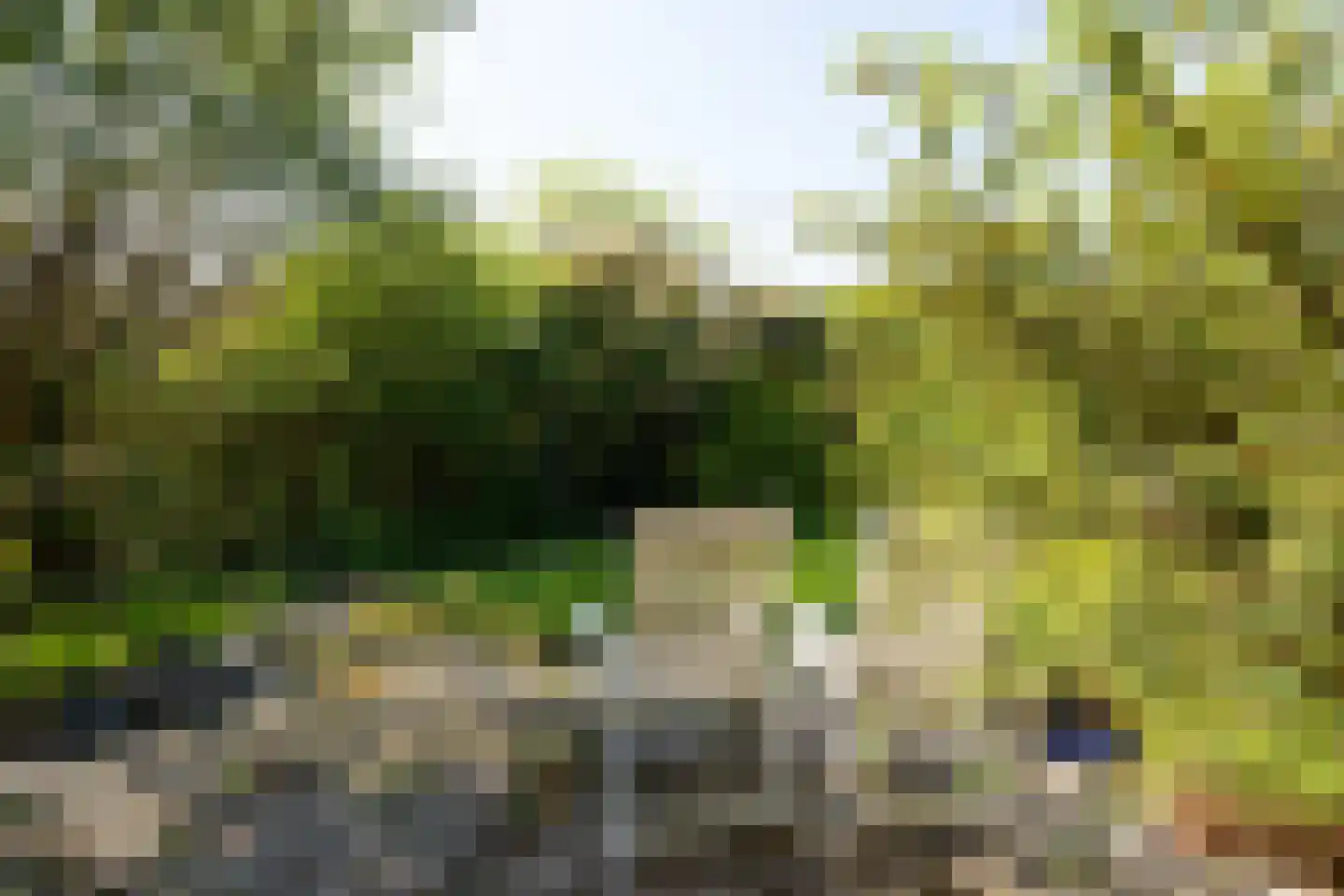 Rendierweide 9 Nieuwegein thumbnail 22
