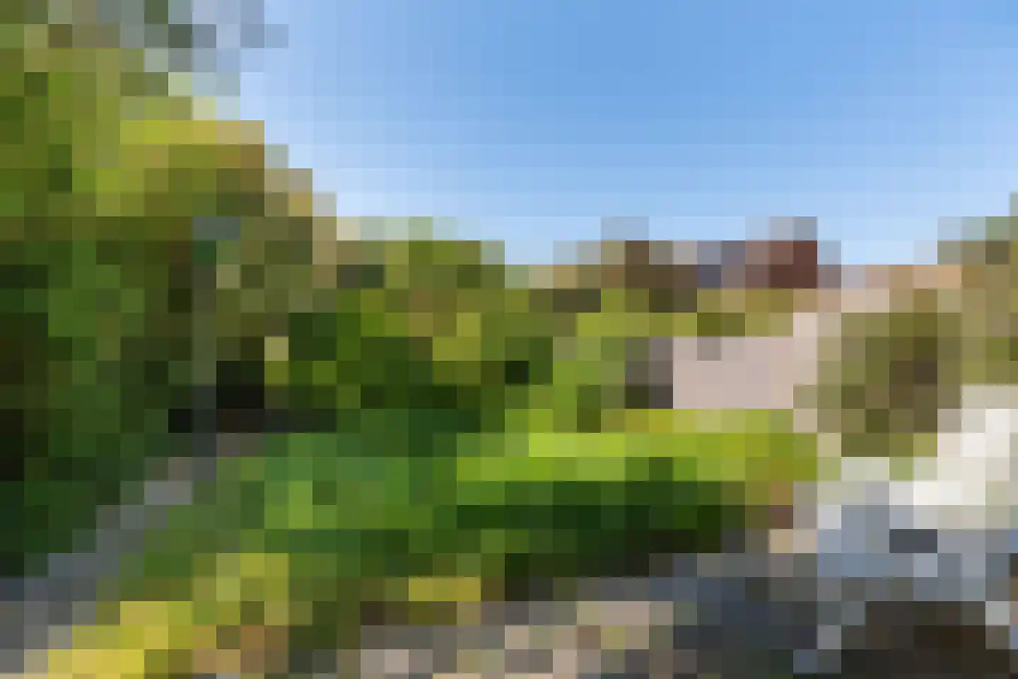 Rendierweide 9 Nieuwegein thumbnail 23
