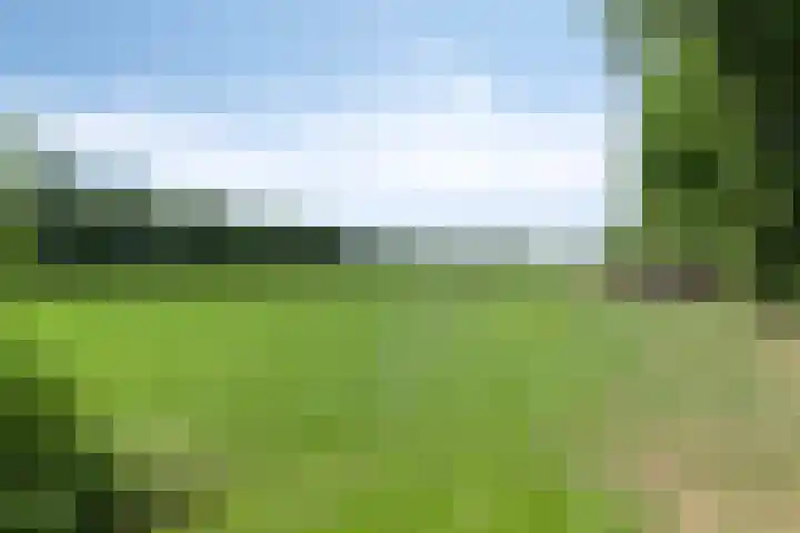 Rendijk 3 Oosterwolde thumbnail 31