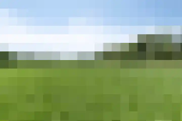 Rendijk 3 Oosterwolde thumbnail 32