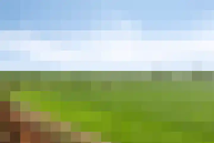 Rendijk 3 Oosterwolde thumbnail 33