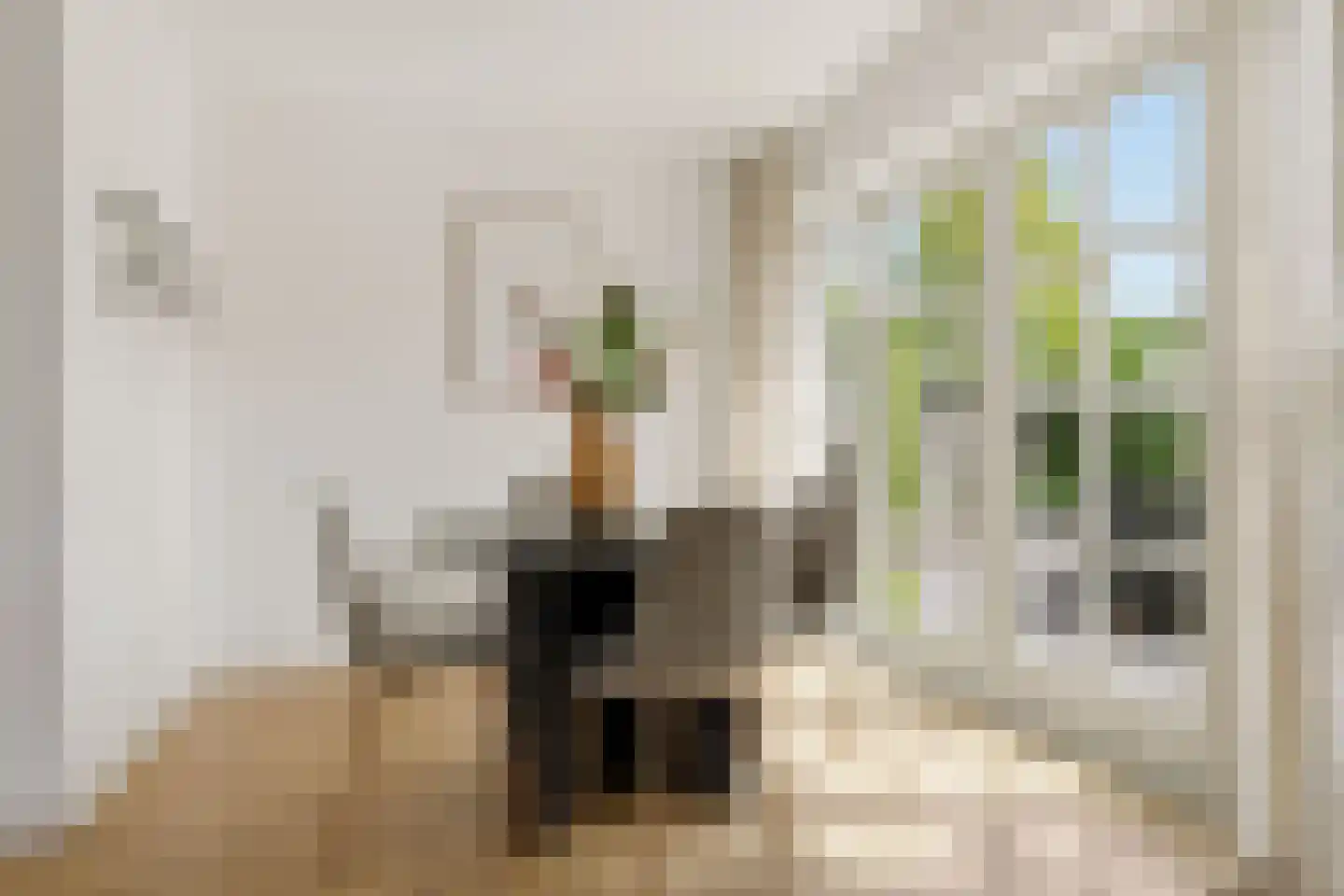 Rendorppark 28 Heemskerk thumbnail 14