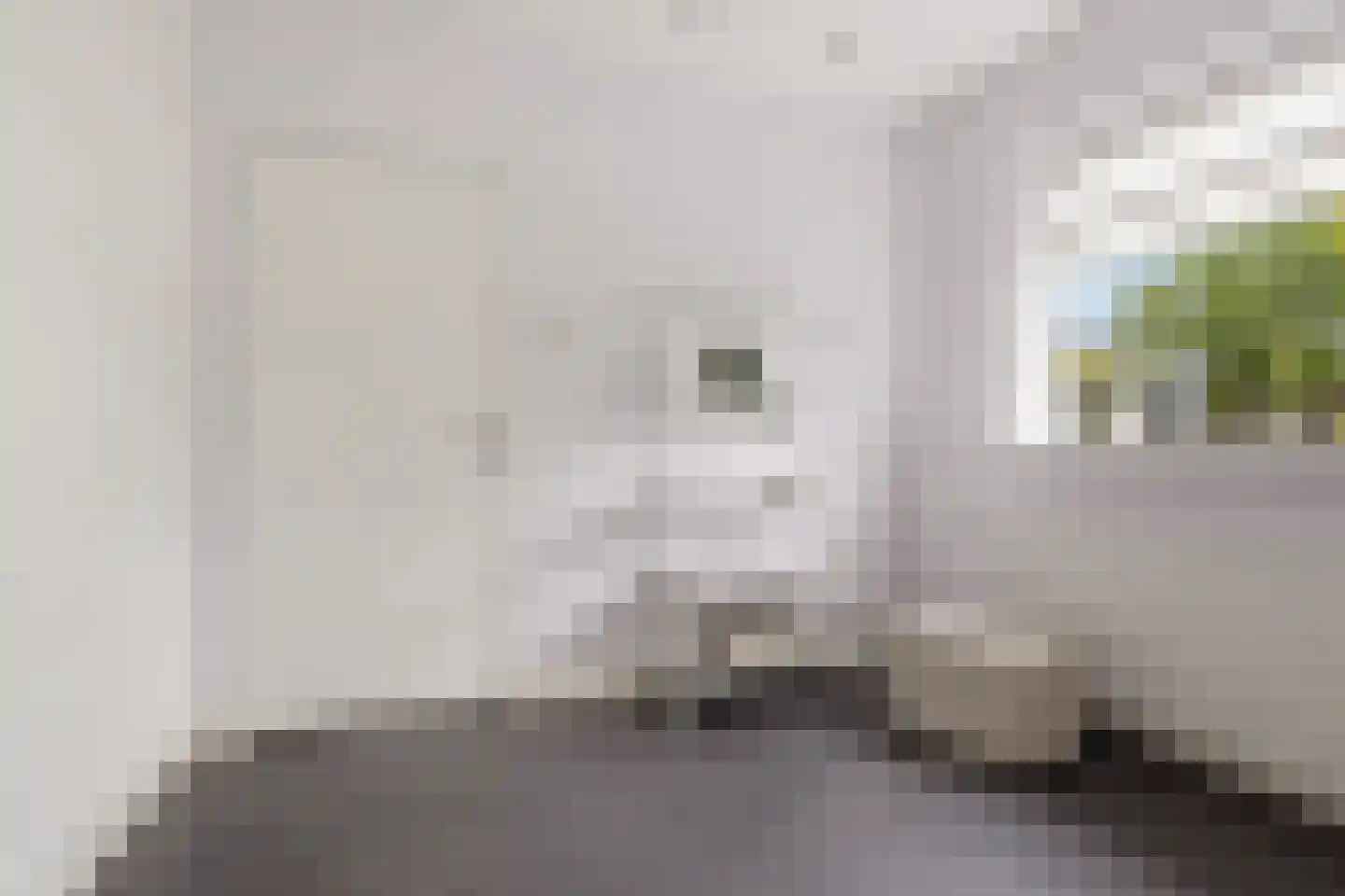 Rendorppark 28 Heemskerk thumbnail 18