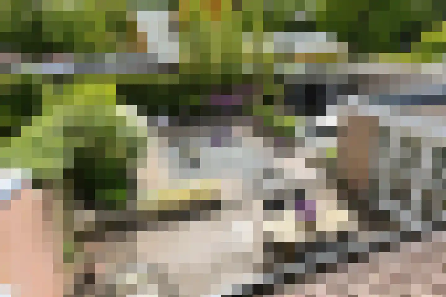 Rendorppark 28 Heemskerk thumbnail 39