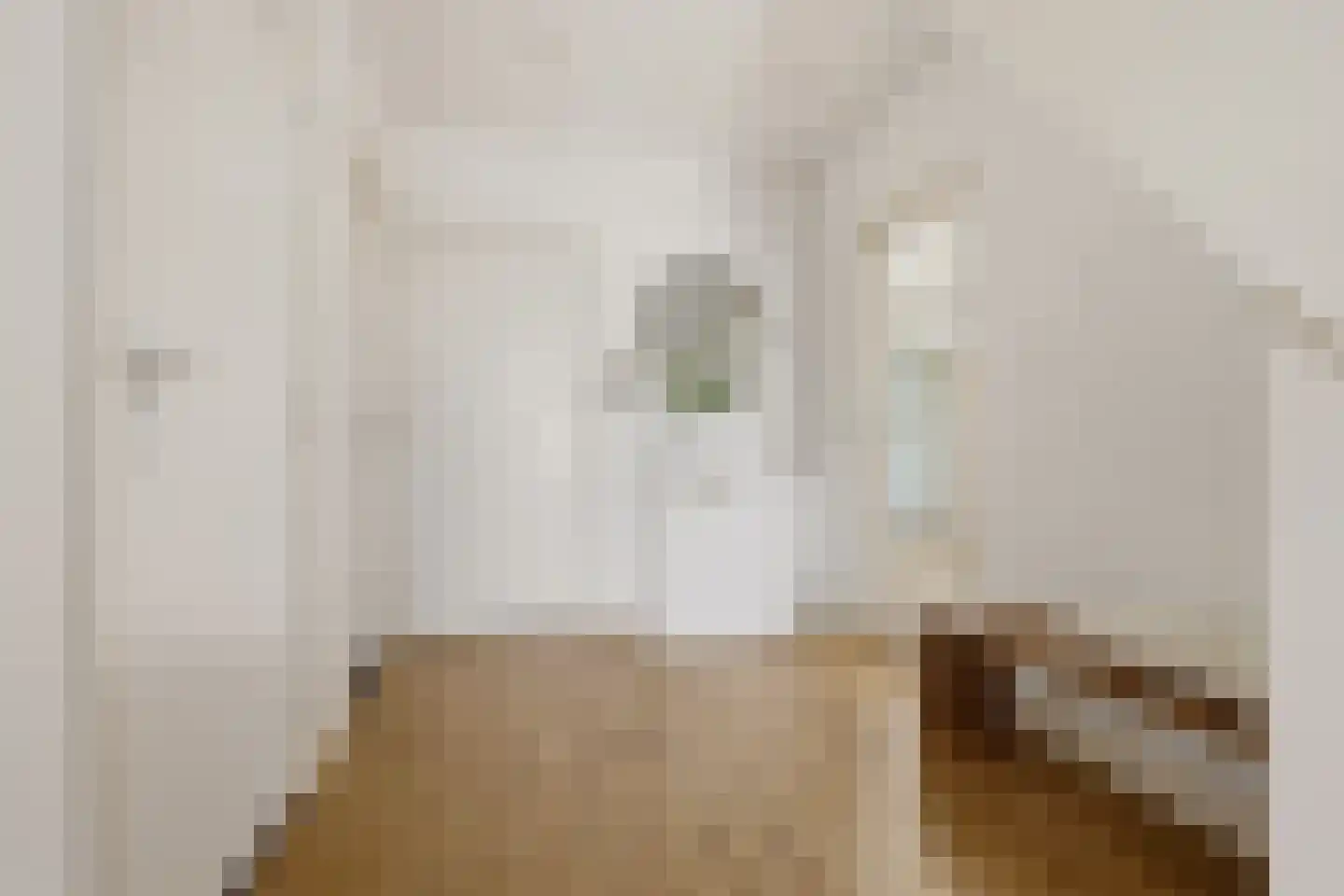 Rendorppark 28 Heemskerk thumbnail 6