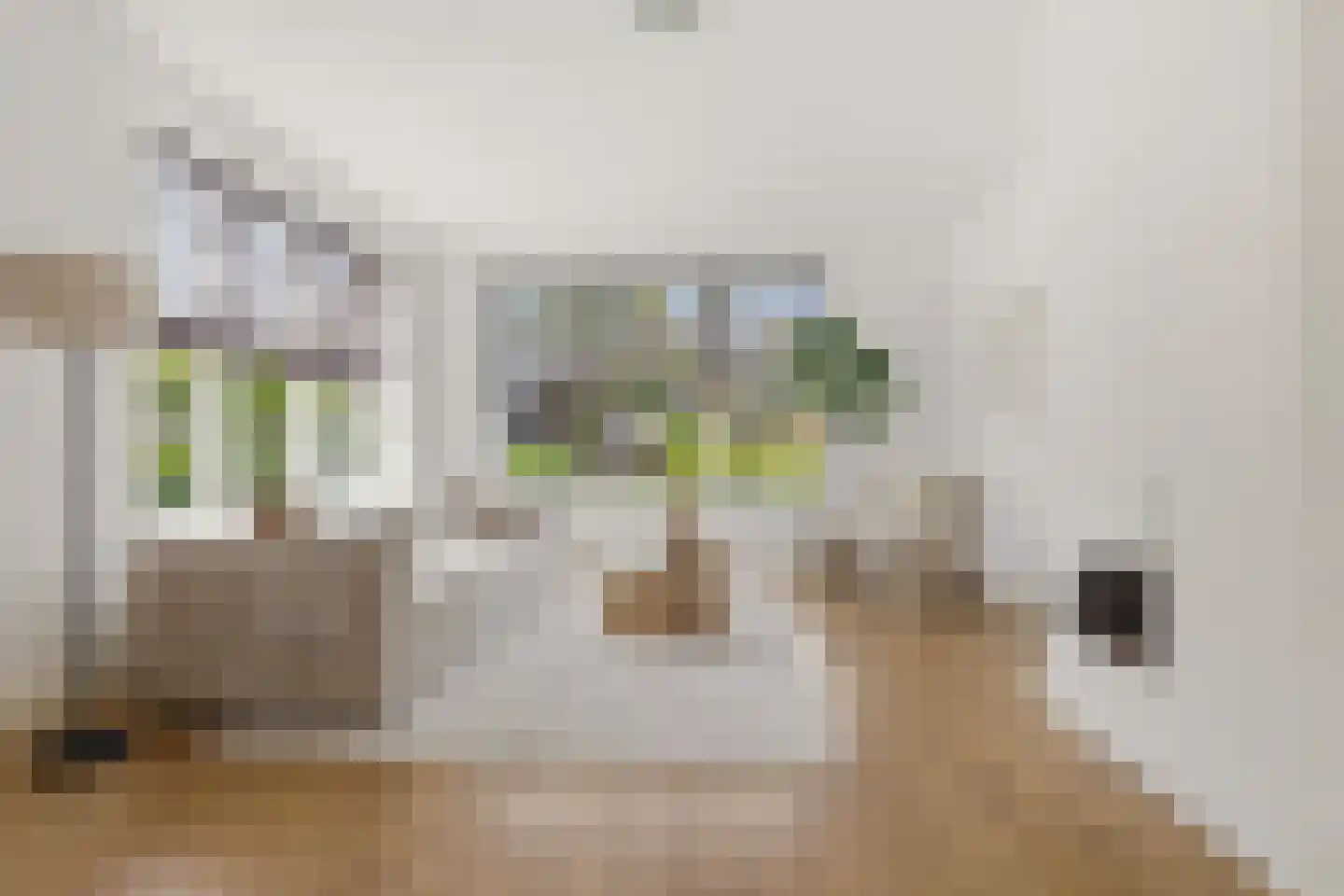 Rendorppark 28 Heemskerk thumbnail 8