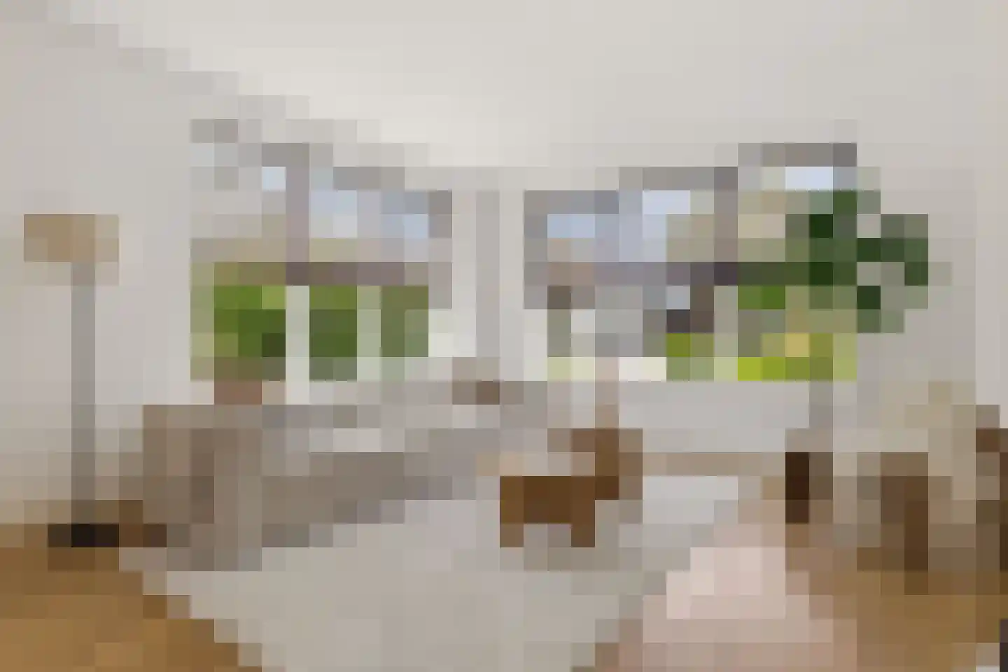 Rendorppark 28 Heemskerk thumbnail 9