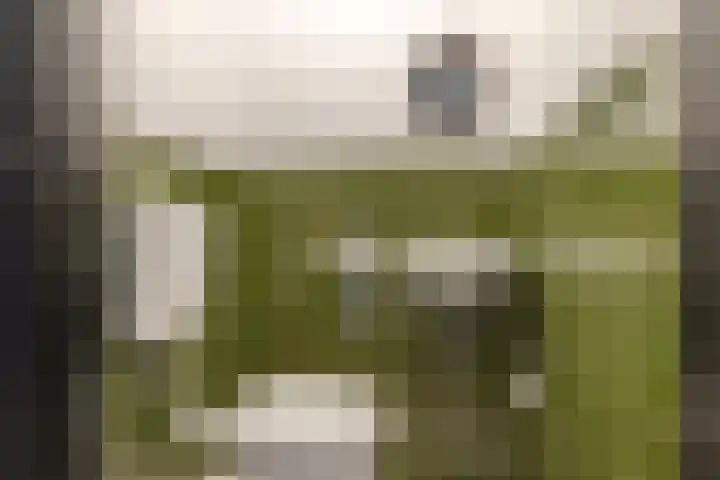 Rendorppark 34 Heemskerk thumbnail 23