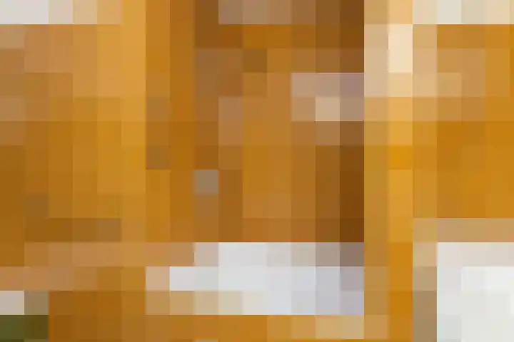 Rendorppark 34 Heemskerk thumbnail 27