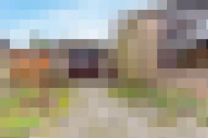 Rendorppark 34 Heemskerk thumbnail 37