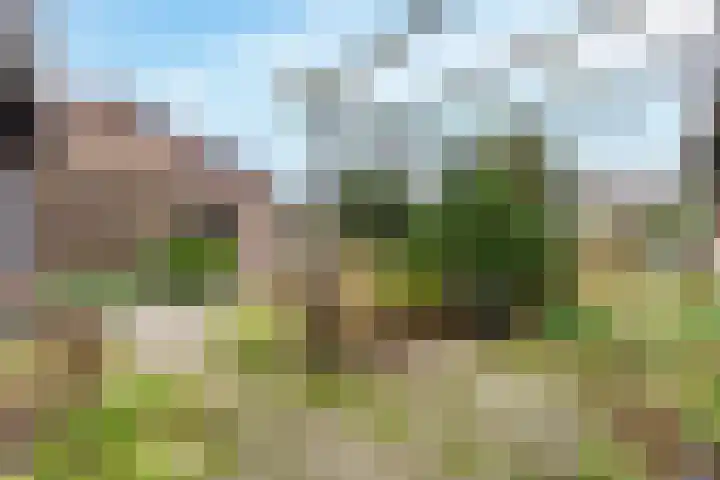 Rendorppark 34 Heemskerk thumbnail 43