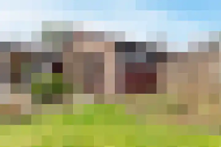 Rendorppark 34 Heemskerk thumbnail 44