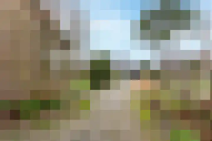 Rendorppark 34 Heemskerk thumbnail 45