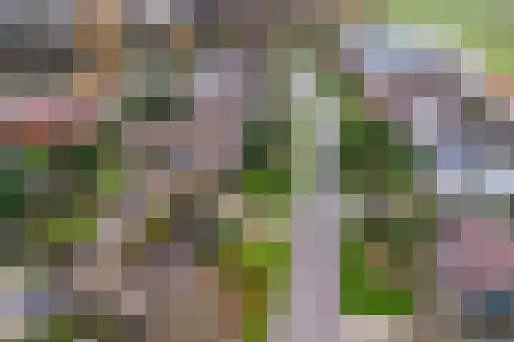 Rendorppark 34 Heemskerk thumbnail 48