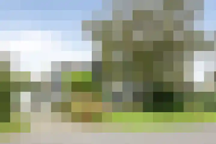 Rendorppark 42 Heemskerk