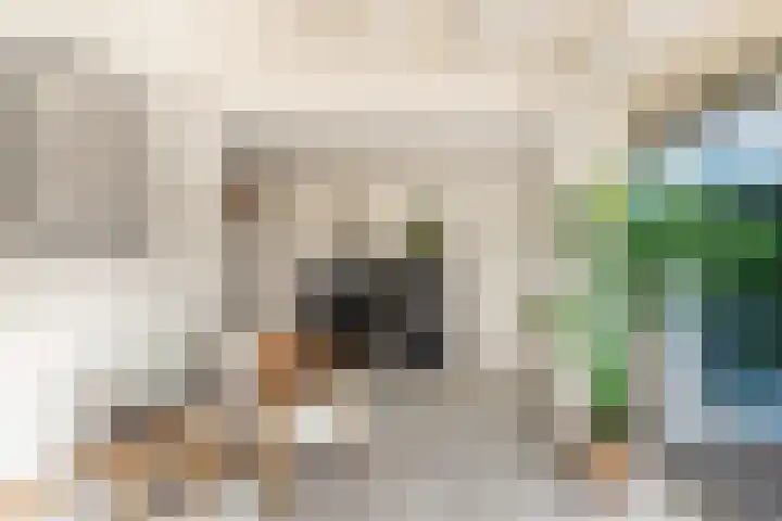 Rendorppark 42 Heemskerk thumbnail 14